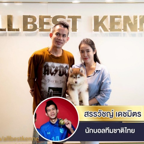 ฟาร์มไซบีเรียน พันธุ์แท้