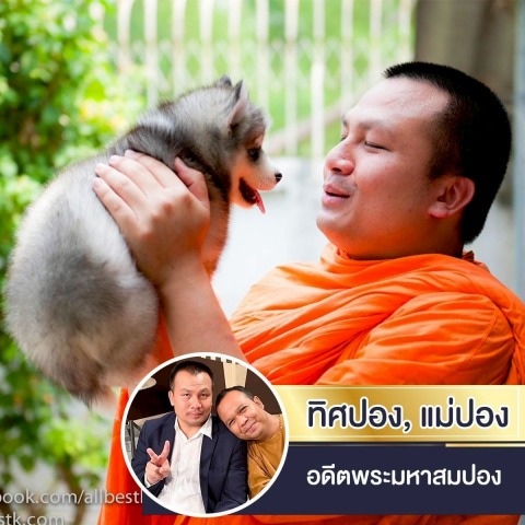 ขายหมาไซบีเรียน พันธุ์แท้จากฟาร์ม