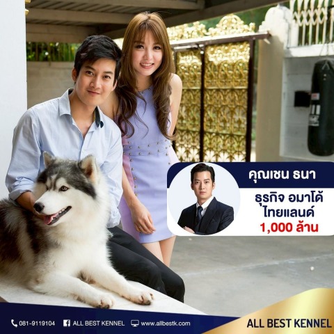 ฟาร์มขายสุนัขไซบีเรียน ฮัสกี้