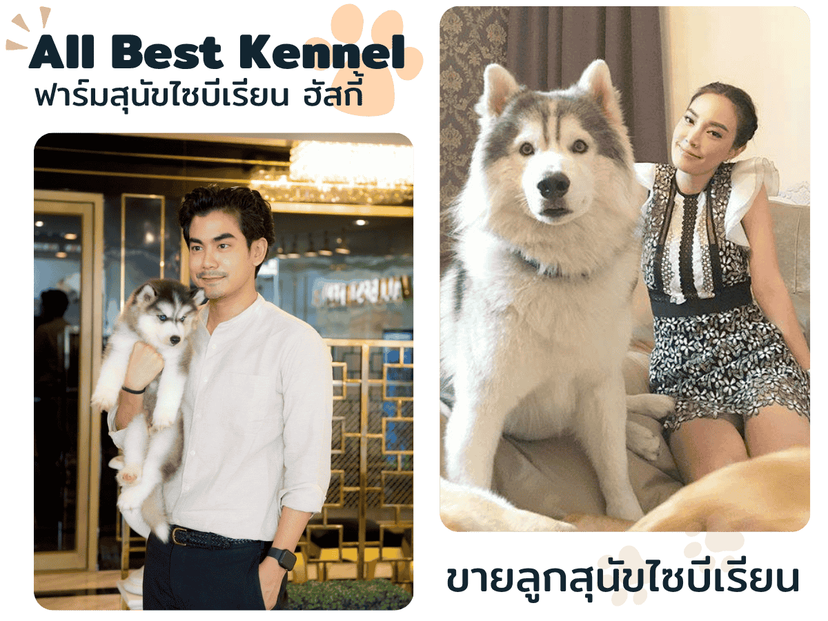 ฟาร์มสุนัขไซบีเรียน ฮัสกี้